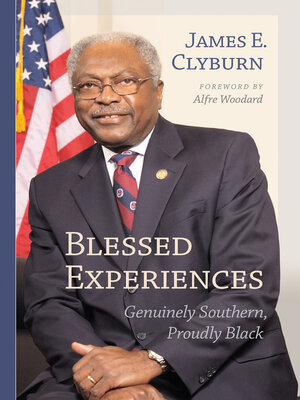 cover image of Blessed Experiences
